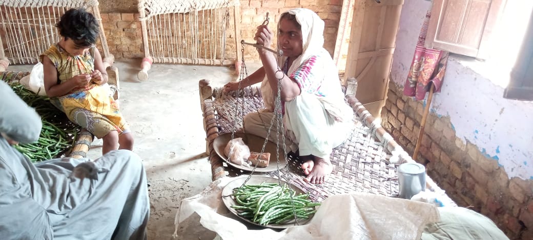 Safia’s Homestead: A source of additional Income