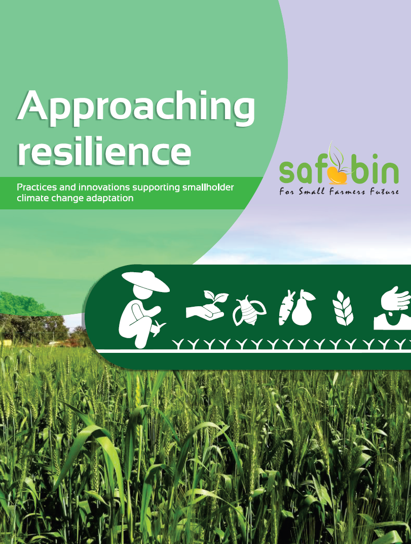 Duck Farming: Rozina Leads the way