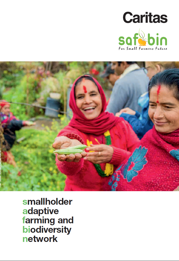 FOOD HERO: SAFIA GEORGE